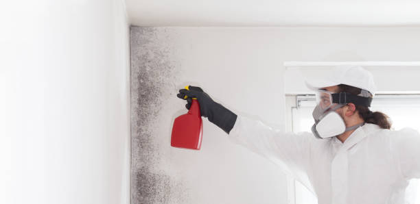 Crawl Space Mold Removal in New Kingman Butler, AZ